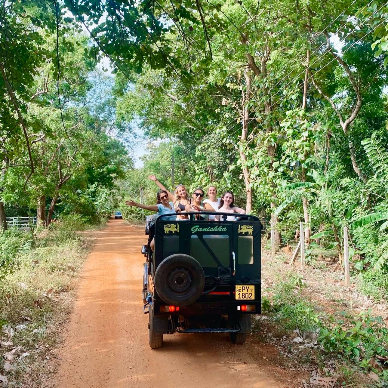 Sri Lanka Adventure, Hill Country & Safari Weekend Trip π±π°