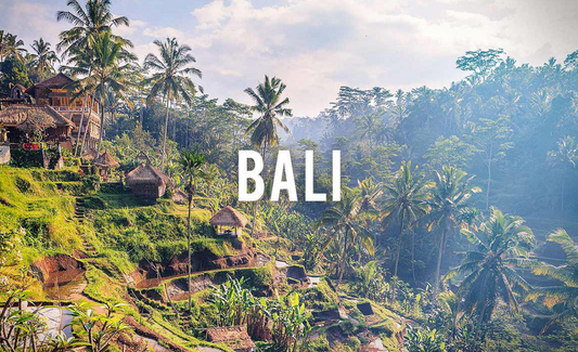 Bali C6B Visa